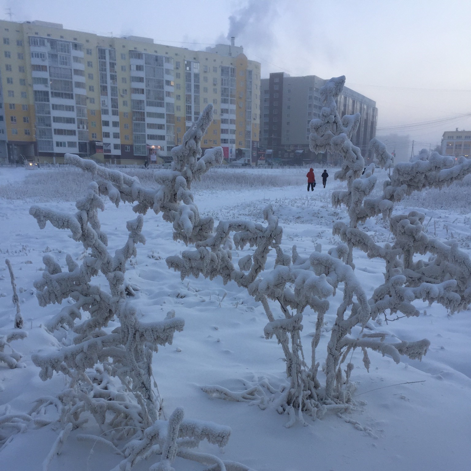 Финалисты конкурса посетят Якутск